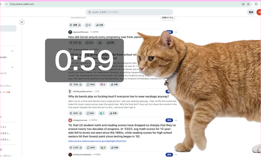 Cat Gatekeeper 与 Kitty Screen 效果示例